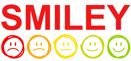 SMILEY ECOSYSTEM VLG world